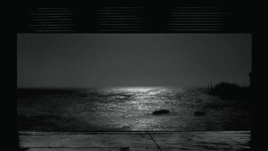Don’t ask me ask yourself, 2011, 1/2 stampe digitali, cm 150x265 cad.