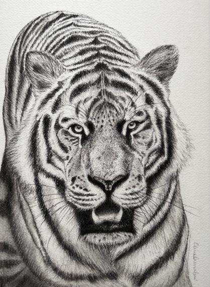 La Regina, 2025, carboncino 29,5 x 42 cm
