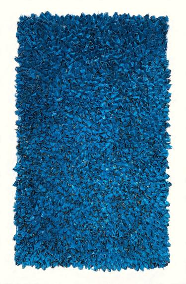 Pavone, 2023, tecnica mista su tela 60x100 cm in teca di plexiglas 72x112 cm