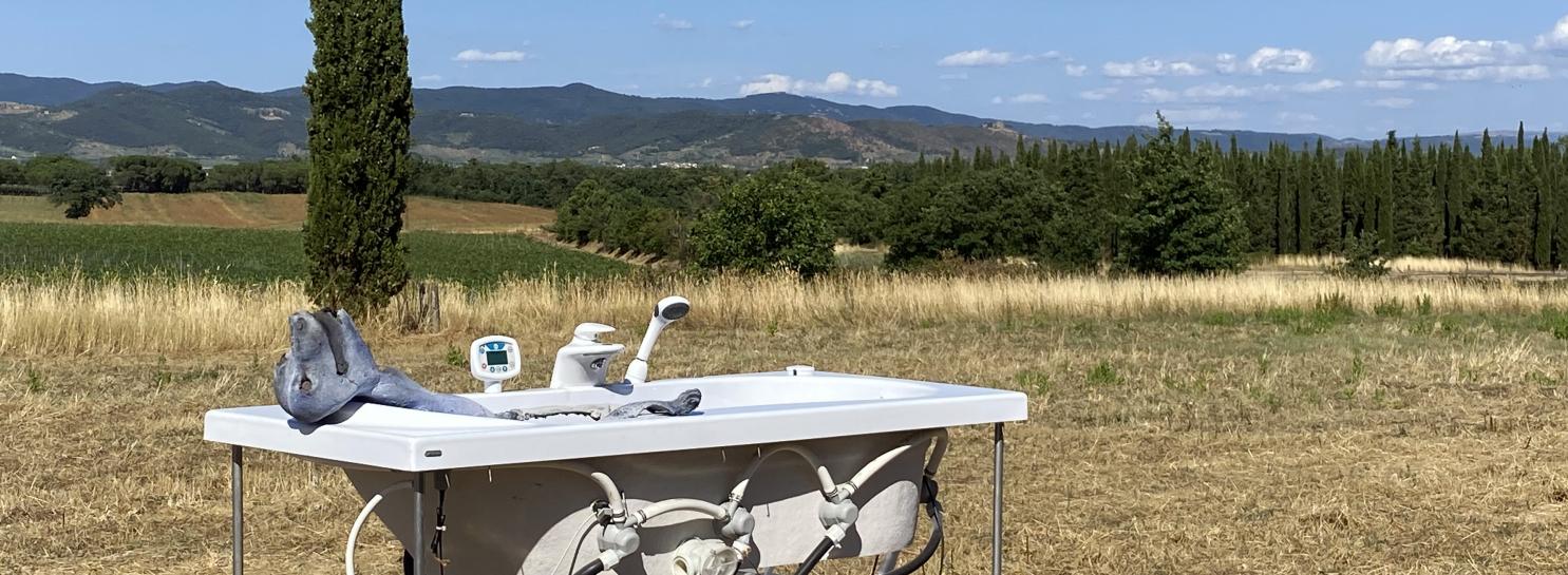 Giulia Cenci: vincitrice Premio Cairo e espositrice Biennale Venezia