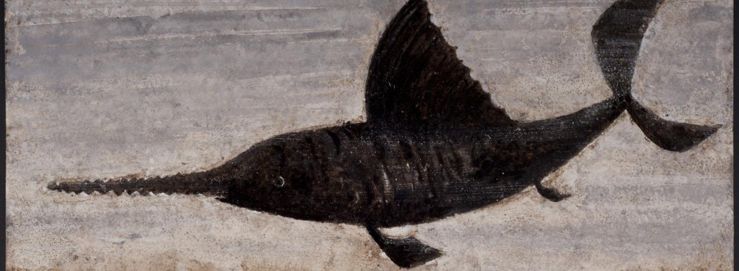 Pino Pascali, Pesce sega