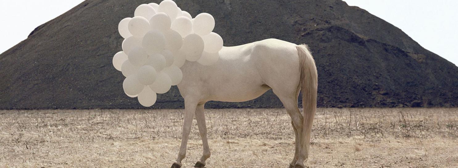 La collezione di Giorgio Fasol, Andrea Galvani, La morte di un'immagine #5, 2006, stampa fotografica su alluminio