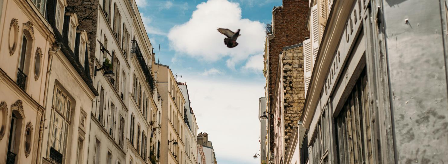 La fotografia di viaggio