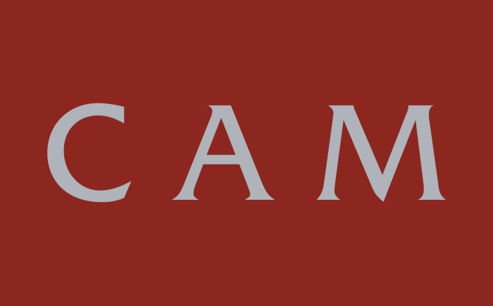 Pontiggia a capo del Comitato critico-scientifico del CAM