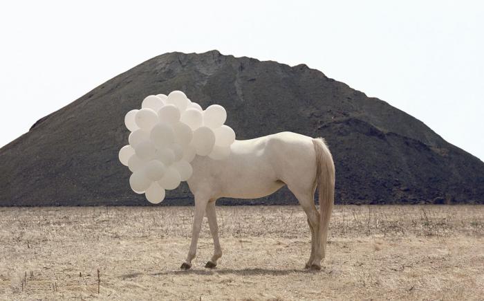 La collezione di Giorgio Fasol, Andrea Galvani, La morte di un'immagine #5, 2006, stampa fotografica su alluminio