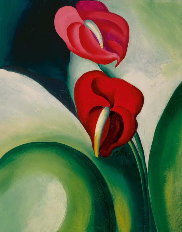 Anthurium, 1923, opera dell'artista americana Georgia O'Keeffe