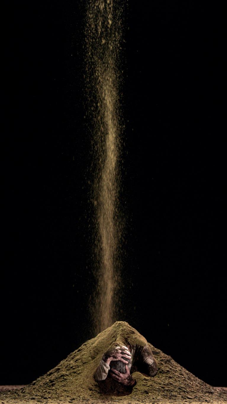 Bill Viola, Martyr series, Earth martyr, 2014