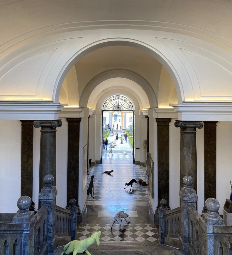 Branco, installazione nella Facoltà di Giurisprudenza dell'Università di Palermo