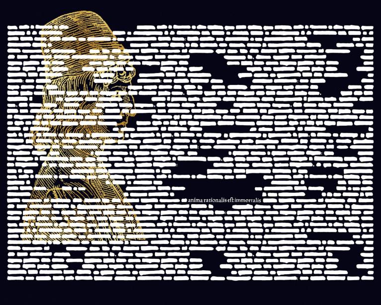 Anima rationalis, 2014
