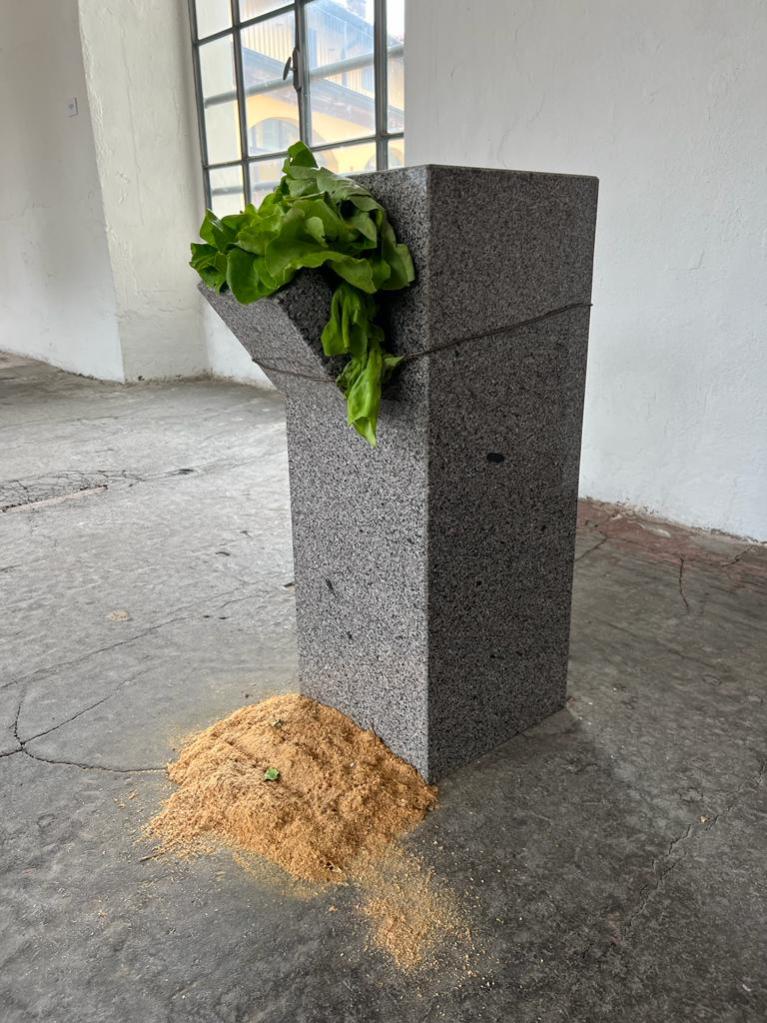 Senza titolo (scultura che mangia l’insalata)