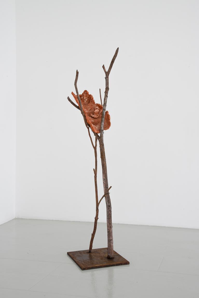Giuseppe Penone opera Terra su terra - Tronco