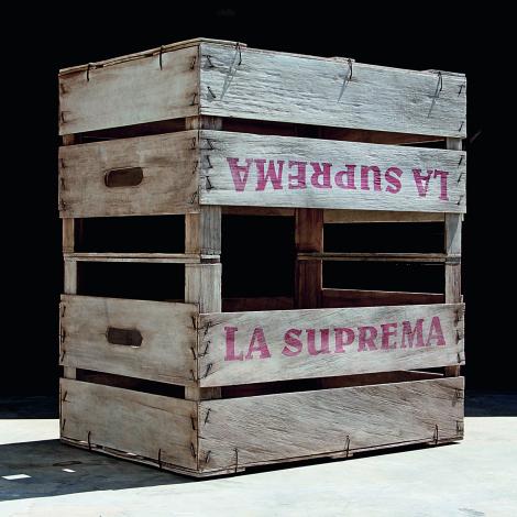 La suprema, opera scultorea di Fabio Viale vincitrice del 15° Premio Cairo