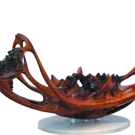 Mare nostrum, 2014, radica di olivo e pietre