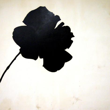 Senza titolo (rosa nera)
