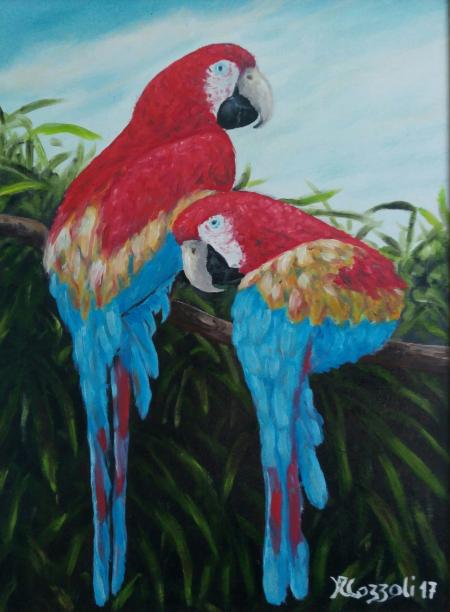 Pappagalli, 2017, olio su tela 30 x 40 cm