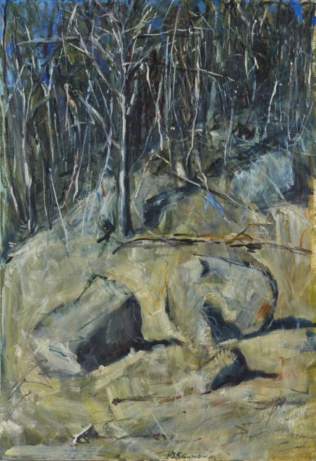 Paesaggio australiano, olio su tela, 66x51cm