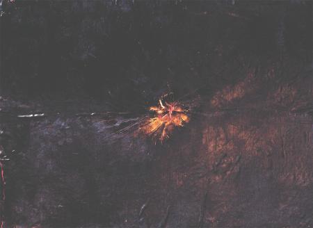 Logos, 2014, tecnica mista su pelle 160 x 117 cm