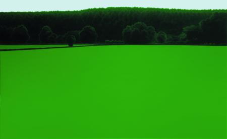 Senza titolo, 2005 olio su tela, cm 135x220