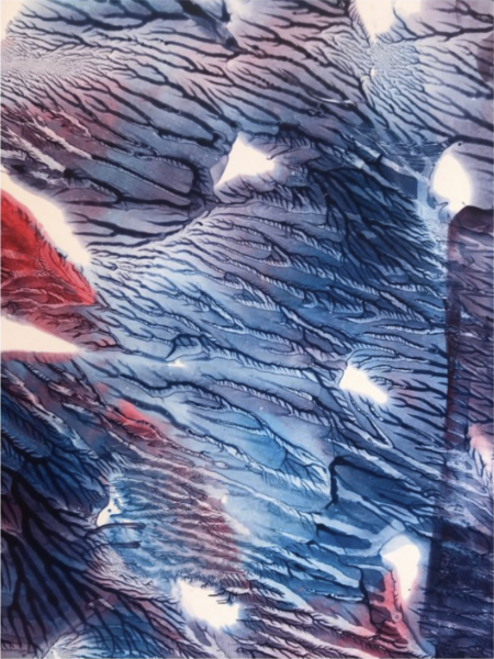 Eco Refugees, Limited edition 1 /25, 2016, high quality print on white opal acrylic  40 x 40 cm