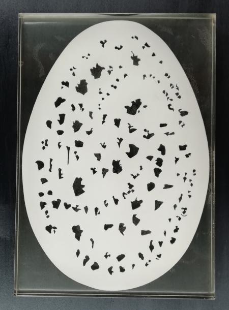 AFTER FONTANA  OMAGGIO A LUCIO FONTANA FINE DI DIO bianco salvato nella capsula del tempo anche se gli originali forse non esisteranno più