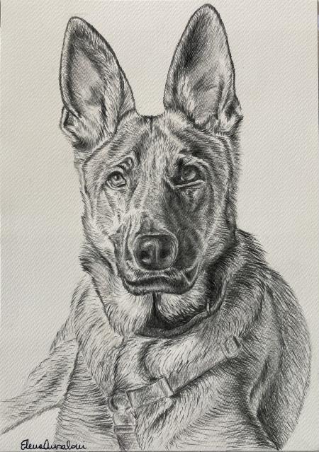 Blizzard, 2022, matite colorate 21 x 30 cm