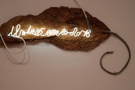 Senza titolo, 1969 foglie di tabacco, neon e piombo, particolare