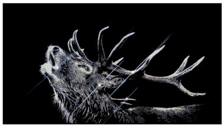 Deer in Love, 2023,  12200 swarovski crystals su plexiglas, 90 x 50 cm