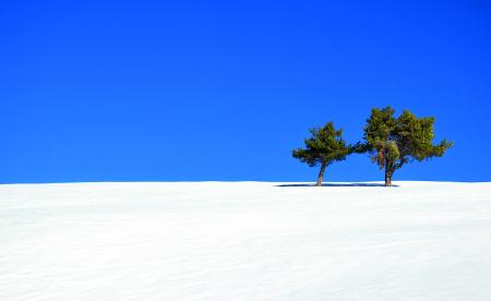 Il tutto nel poco, 2022, Iso 400 F7.1 1/2000s, pixel 5133x3144