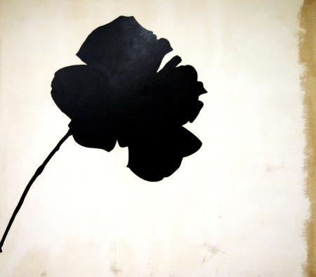 Senza titolo (rosa nera)