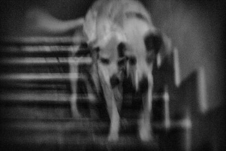 Onirycon, 2024, fotografia digitale 70x50 cm