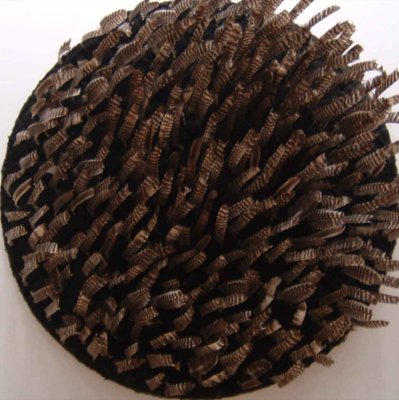 Le penne di Esopo, 1968