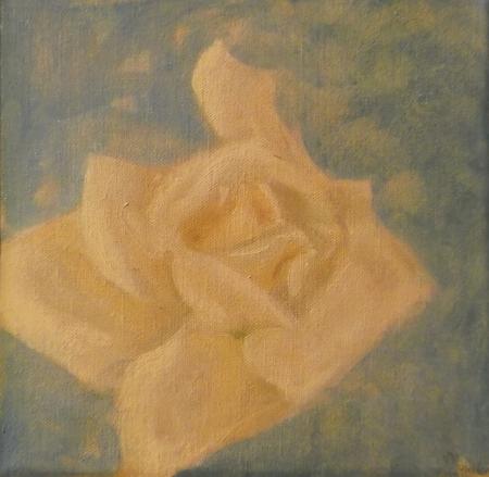 Rosa, 2010, olio su tela, 20x20 cm