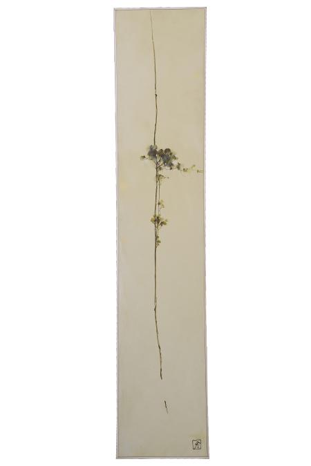 Senza titolo, 2013, olio su tela 30 x 150 cm