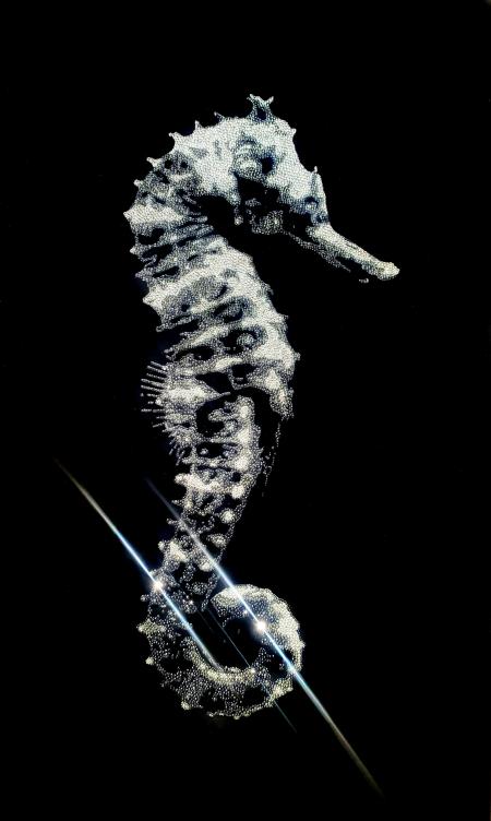 Shining, 2022, 8640 swarovski cristals su plexiglas, 60 x 100 cm