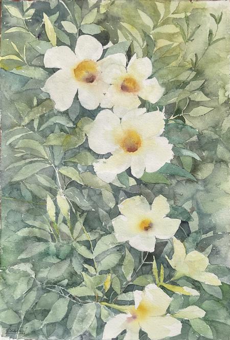 Verde (Dipladenia), 2025, acquerello, 38x56 cm