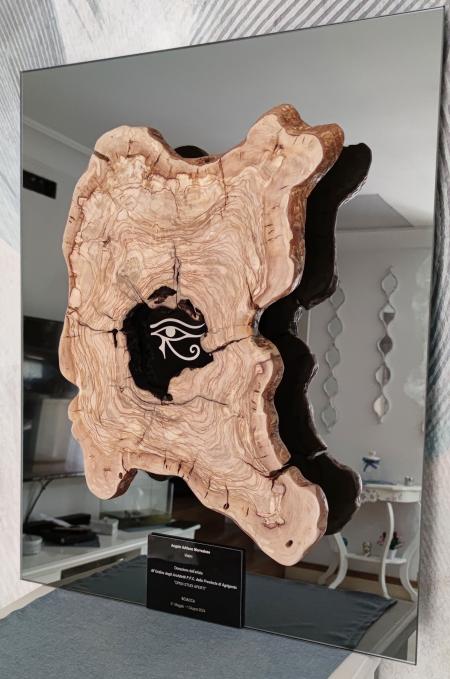 Visione, 2024, la forma è naturale; tronco di albero di olivo affettato, base in vetro, 50 x 70 cm