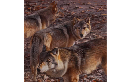 Alpha, 2019, olio su tela
